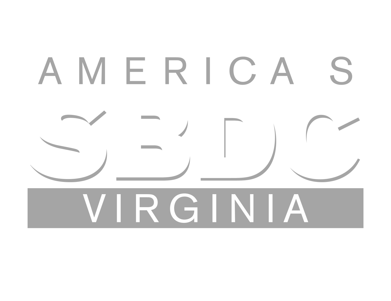 SBDC Roanoke Region Logo