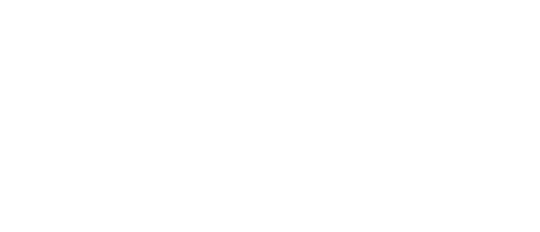 Roanoke Regional Logo