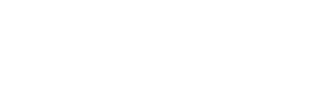 VEDP Logo